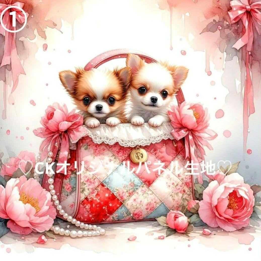 y꙳★*゜購入前に一言お願いします！　①