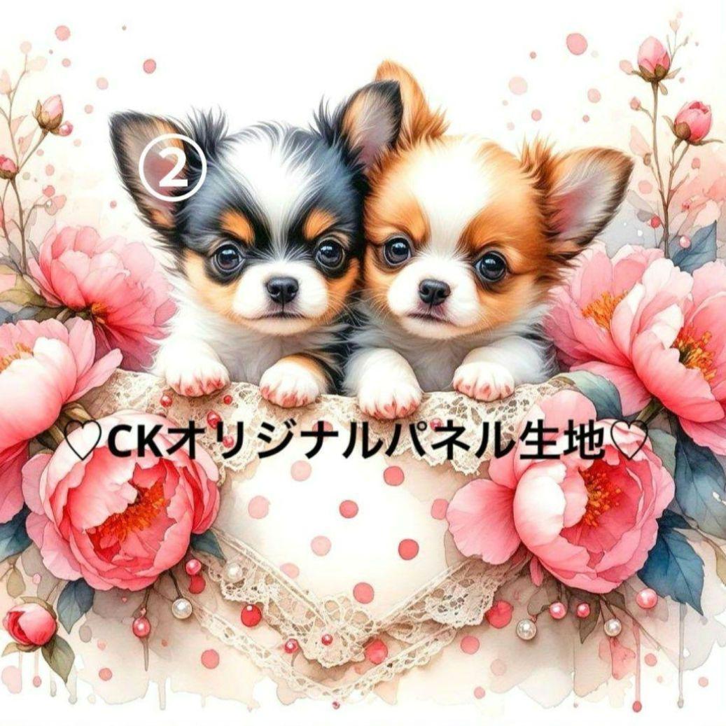 y꙳★*゜購入前に一言お願いします！　①