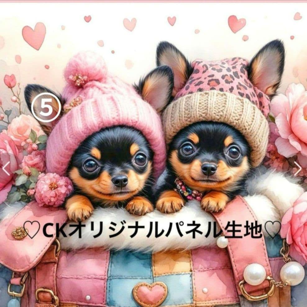 y꙳★*゜購入前に一言お願いします！　①