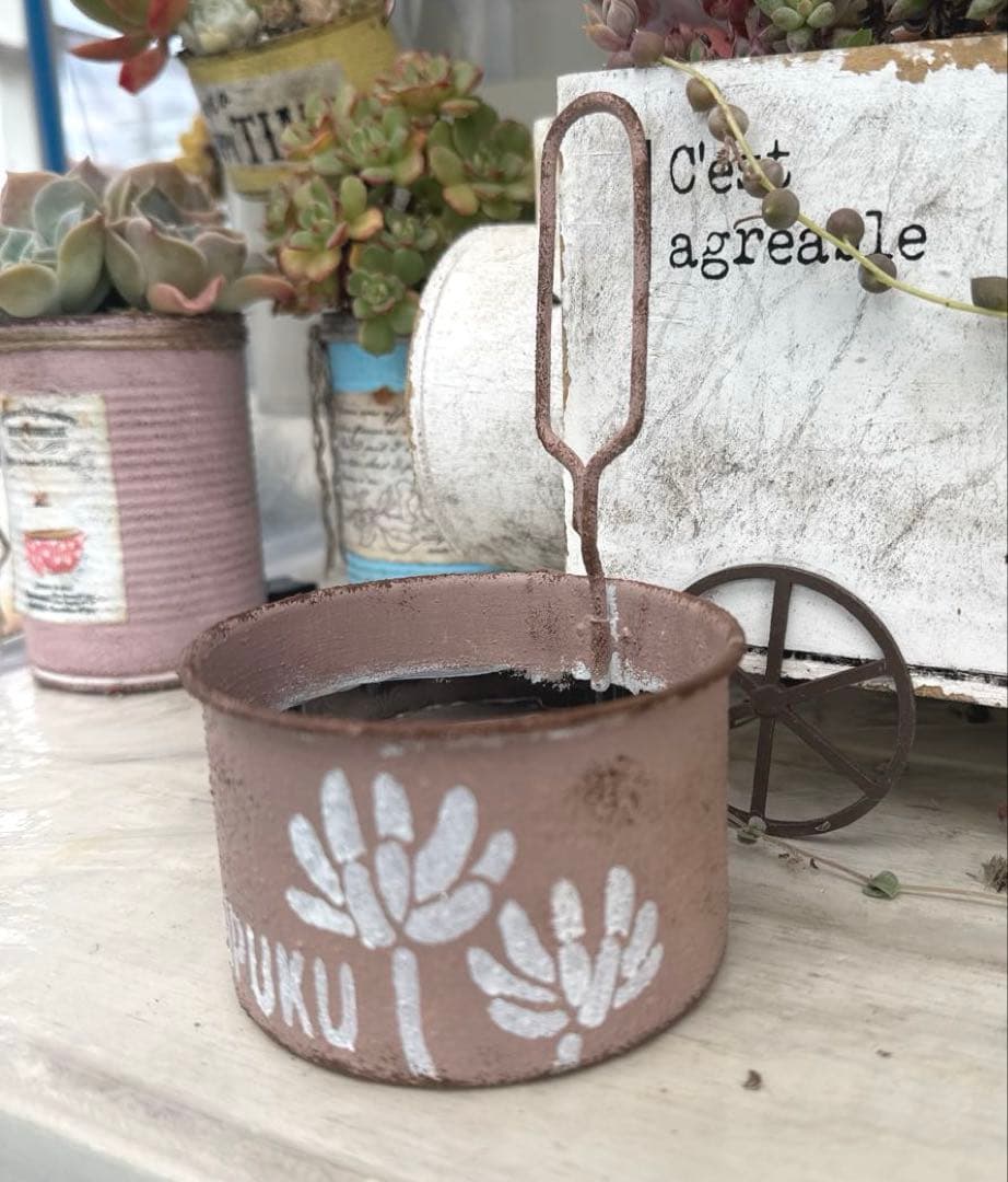 リメイク缶420☆多肉植物☆寄せ植え☆インテリア