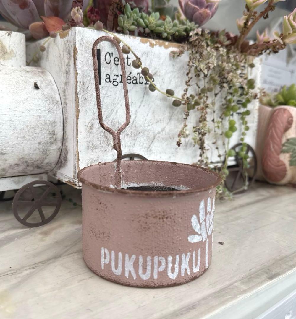 リメイク缶420☆多肉植物☆寄せ植え☆インテリア