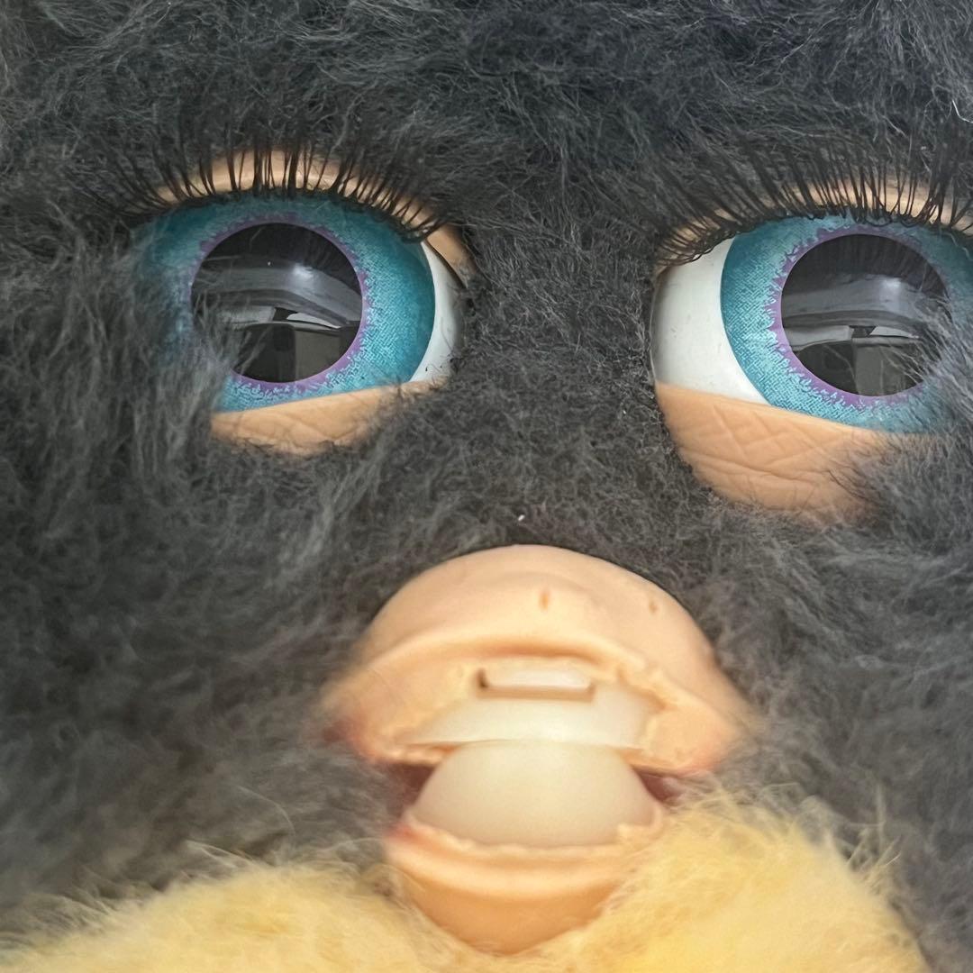 ファービー2　フェスタ　チャコールグレー　　青目　英語版　furby2 #3