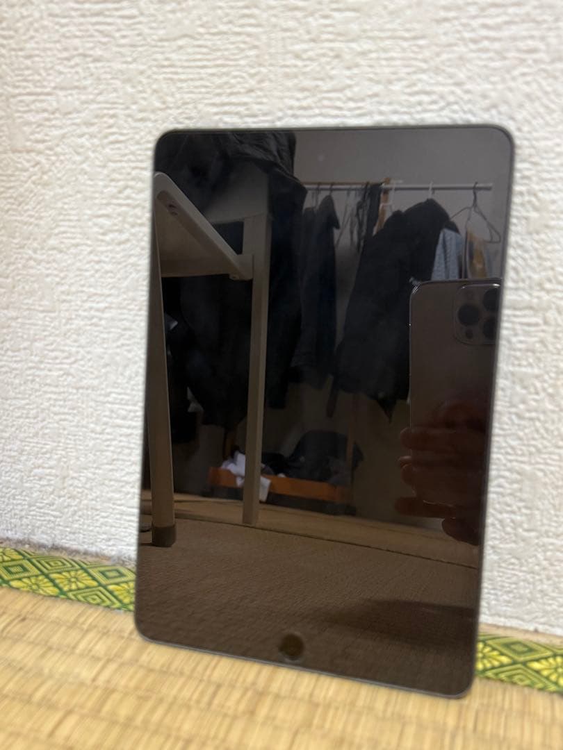 iPad mini 第5世代 256GB Wi-Fiモデルです