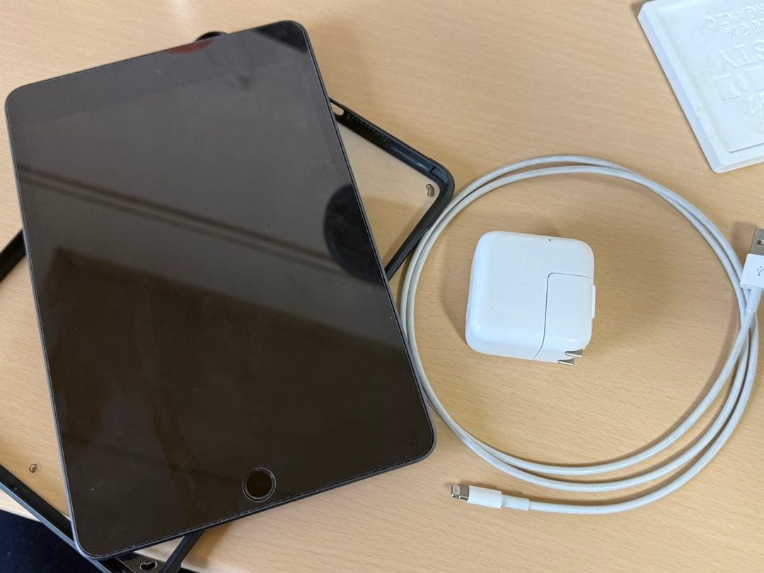 iPad mini 第5世代 256GB Wi-Fiモデルです