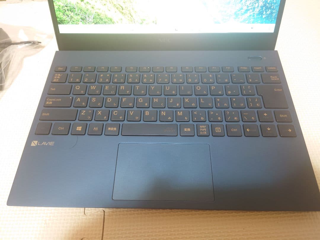 NEC Lavie Direct/i7-1165G7/16GB/約900g超軽量