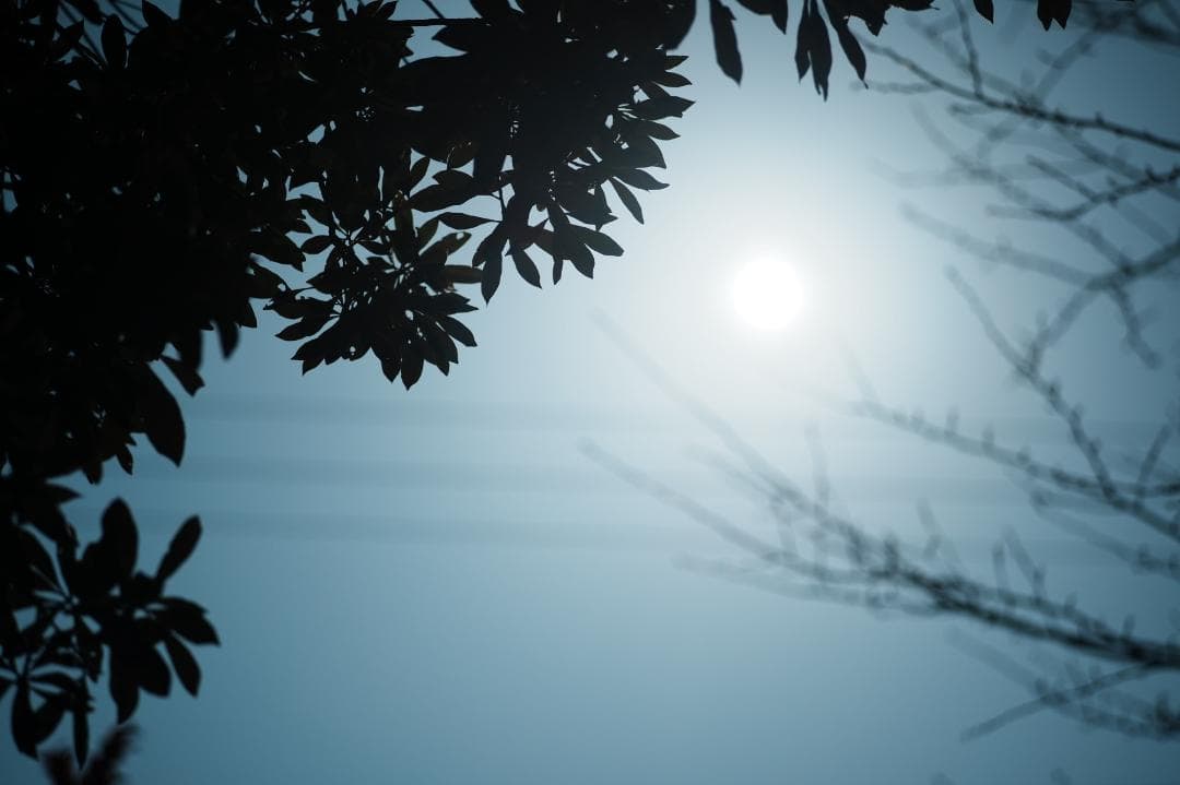 【整備＆テスト済】SMC PENTAX-M 85mm F2 287