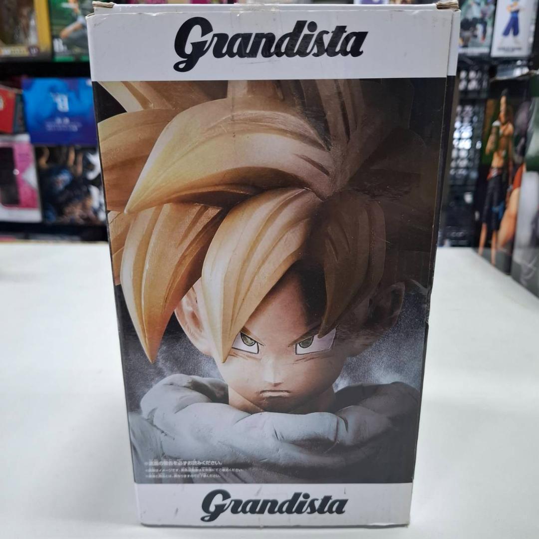 た*！様 ⛄未使用品⛄0220 価格高騰中~! グランディスタ Grandist