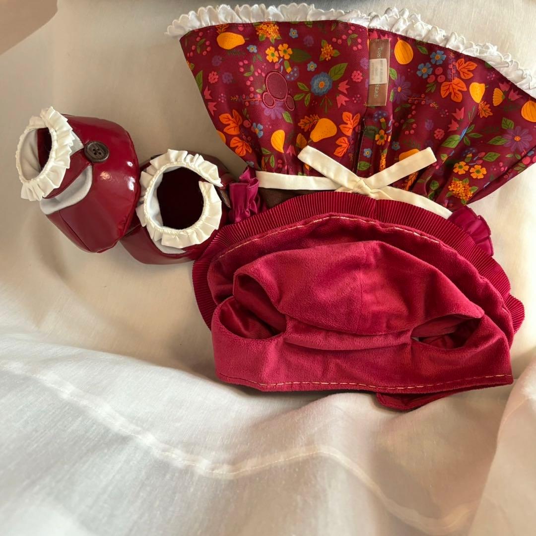 Disneyシェリーメイぬいぐるみ&衣装2着【激レアコスチューム付き】