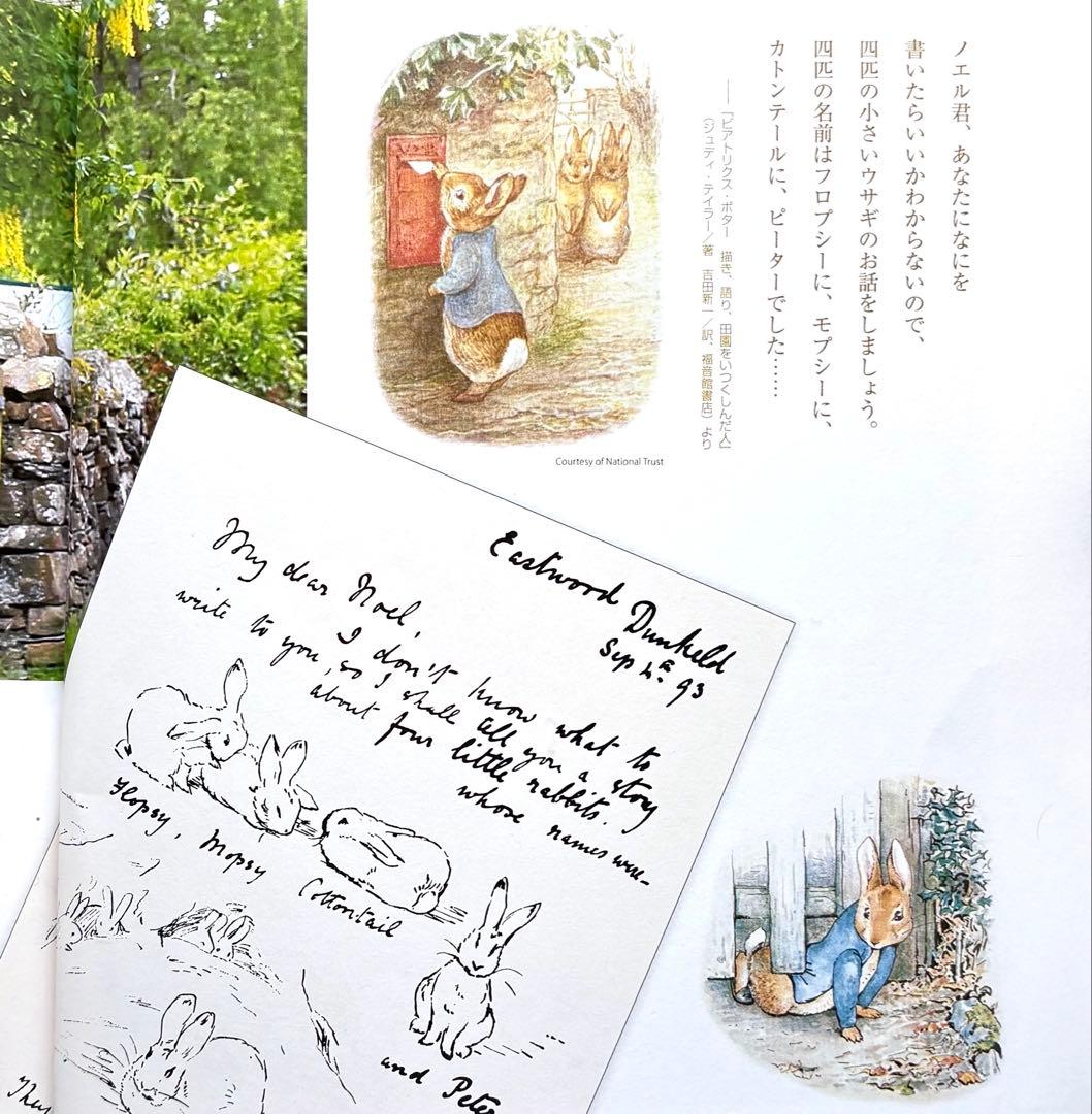 ピーターラビット　◆◆希少◆◆ 100周年記念　　　【Peter Rabbit】