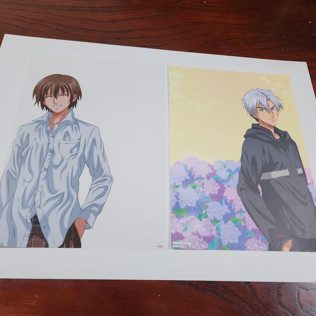 テニスの王子様 プレミアムシートまとめ売り