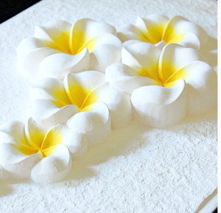 アジアン バリ島 プリメリア レリーフ フレーム リゾート 彫刻