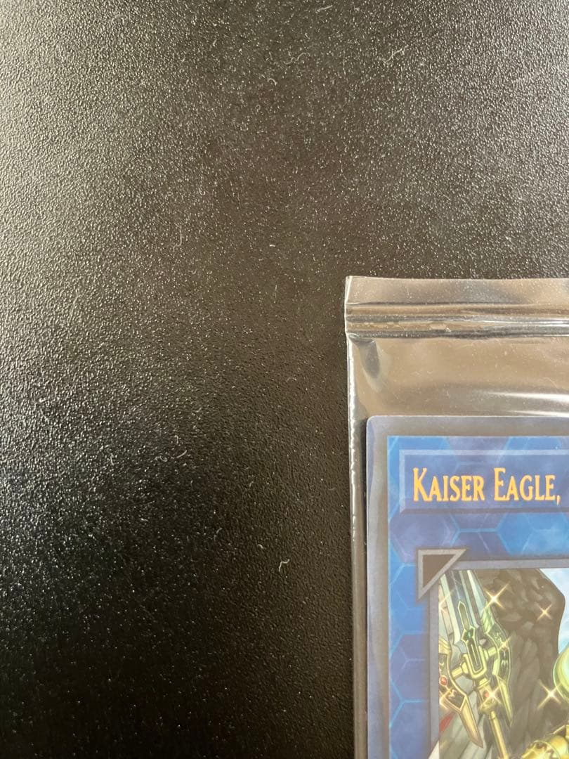 Kaiser Eagle, the Heavens' Mandate 未開封