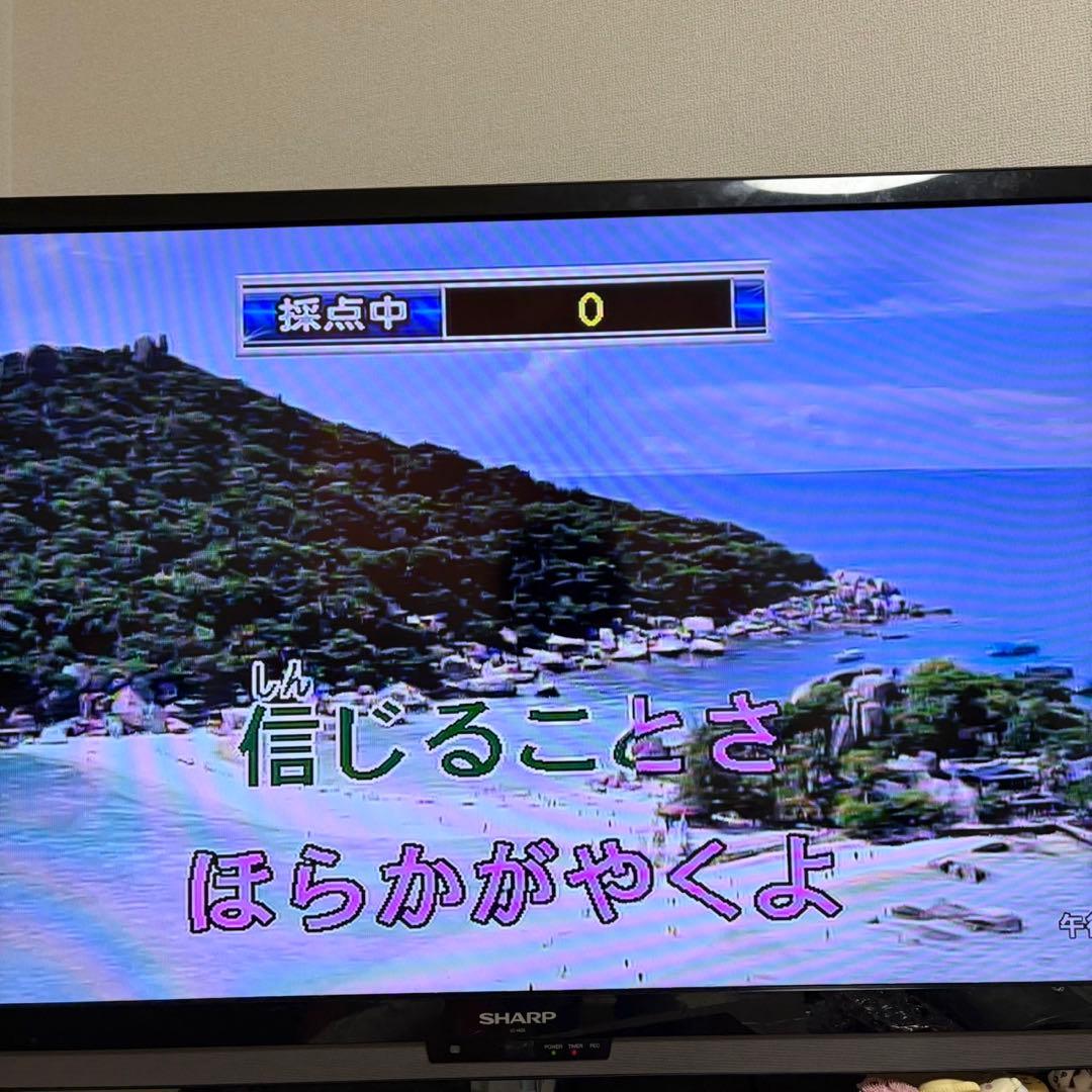 ON STAGE オン・ステージ カラオケ ペアマイクセット 動作確認済み