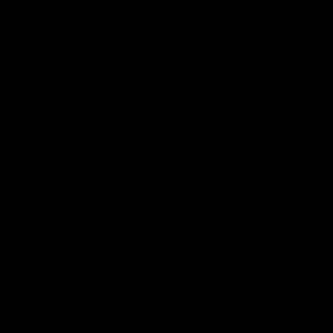 新品未使用 Black Design 日和