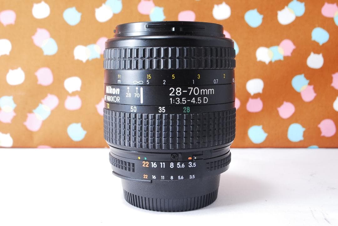 ✨ショット数1071回✨お安くデビュー✨Nikon D70 レンズセット