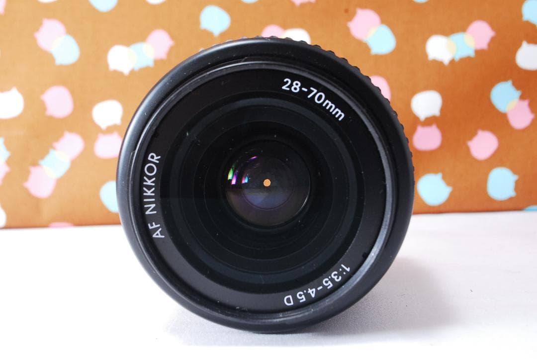 ✨ショット数1071回✨お安くデビュー✨Nikon D70 レンズセット
