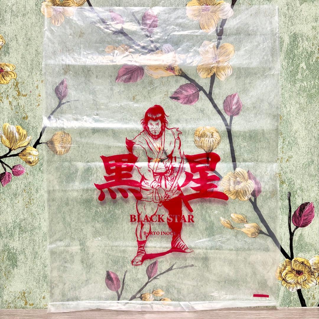 RYO INOUE 『BLACK STAR』 ソフビ インディーズ