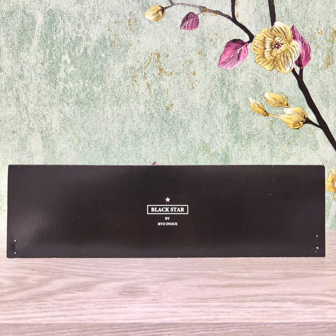 RYO INOUE 『BLACK STAR』 ソフビ インディーズ