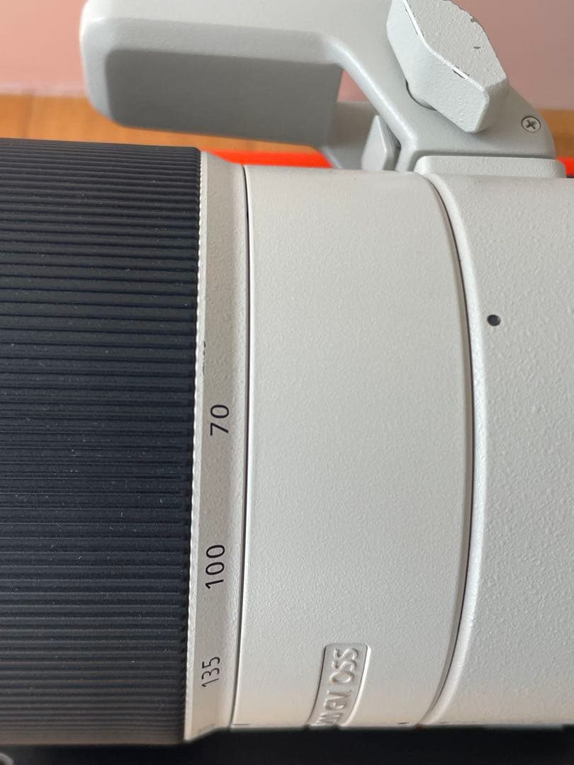 SONY FE 70-200mm F2.8 GM OSS (1型)