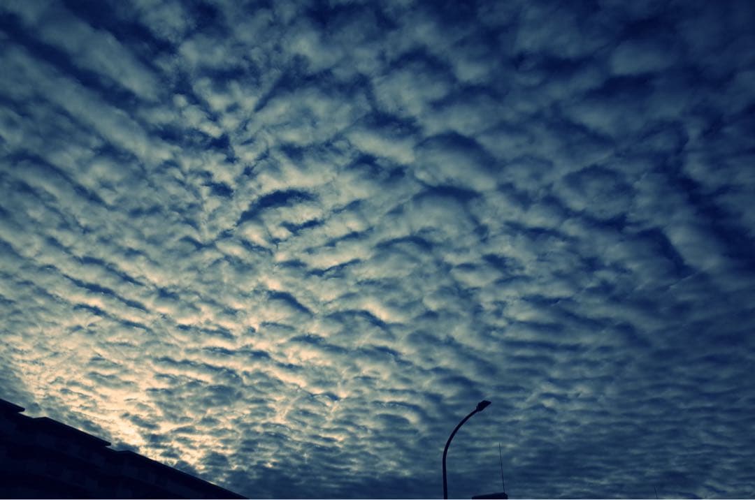 【シャッター数1377回】RICOH GR 初代 作例あり