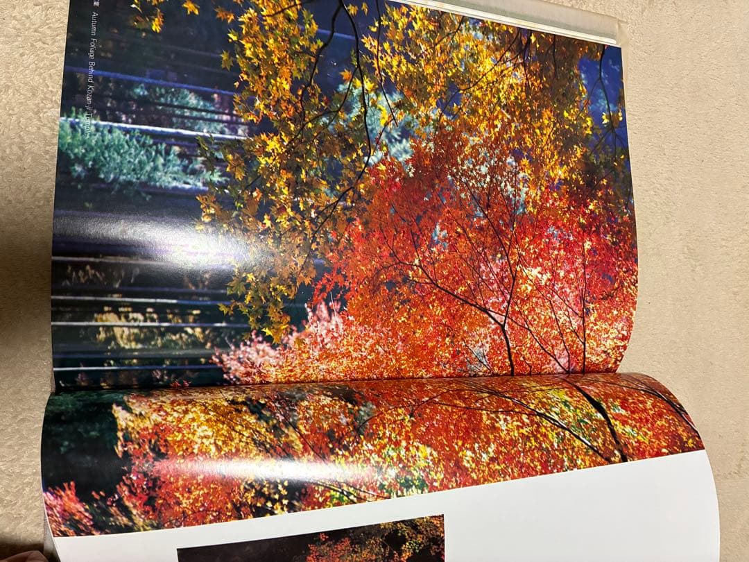 風景写真集5冊　国際情報社出版