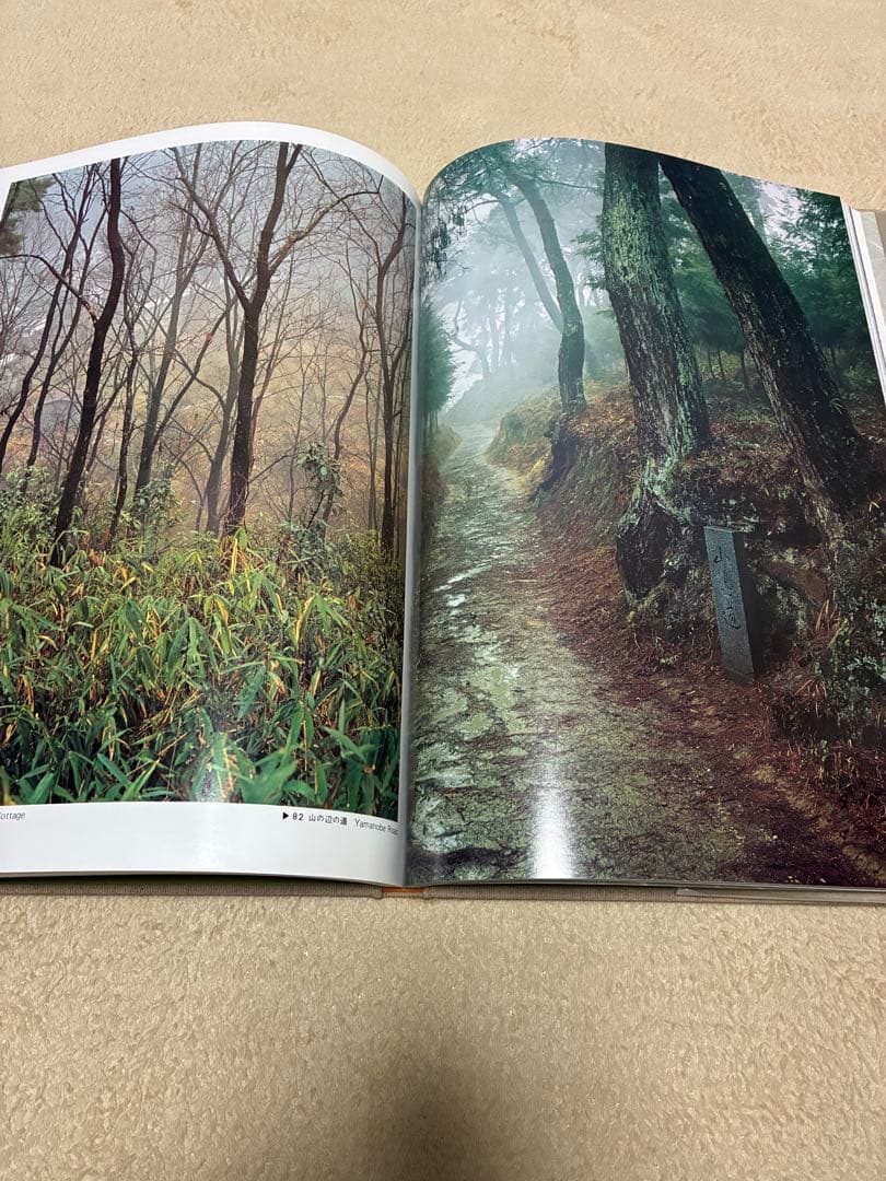 風景写真集5冊　国際情報社出版