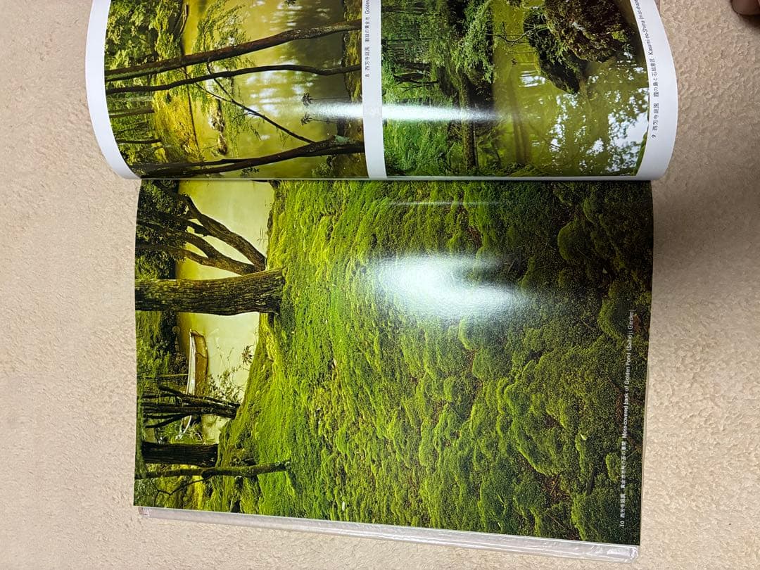 風景写真集5冊　国際情報社出版
