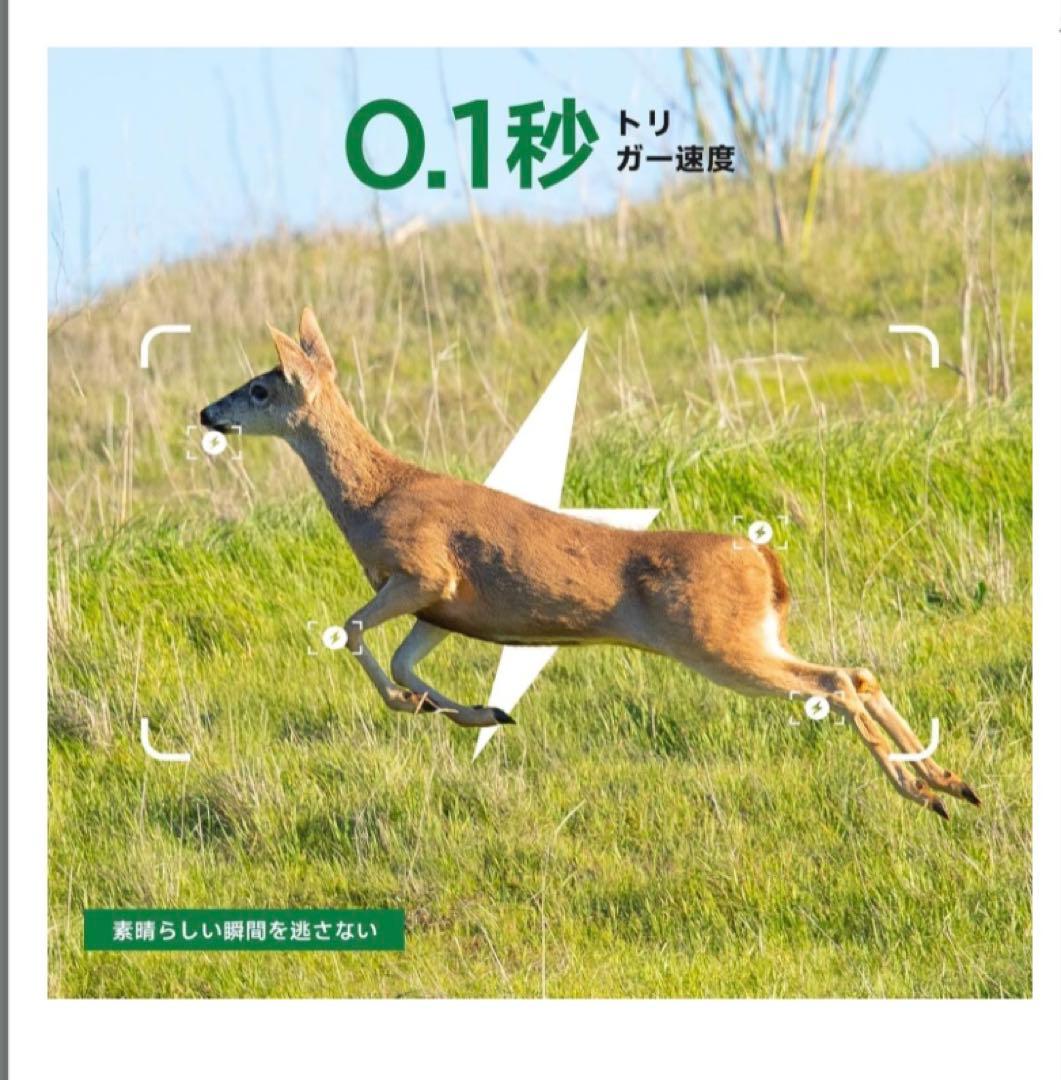 トレイルカメラ　防水　防塵 野外 野生動物　Wi-Fi 1080P 32MP