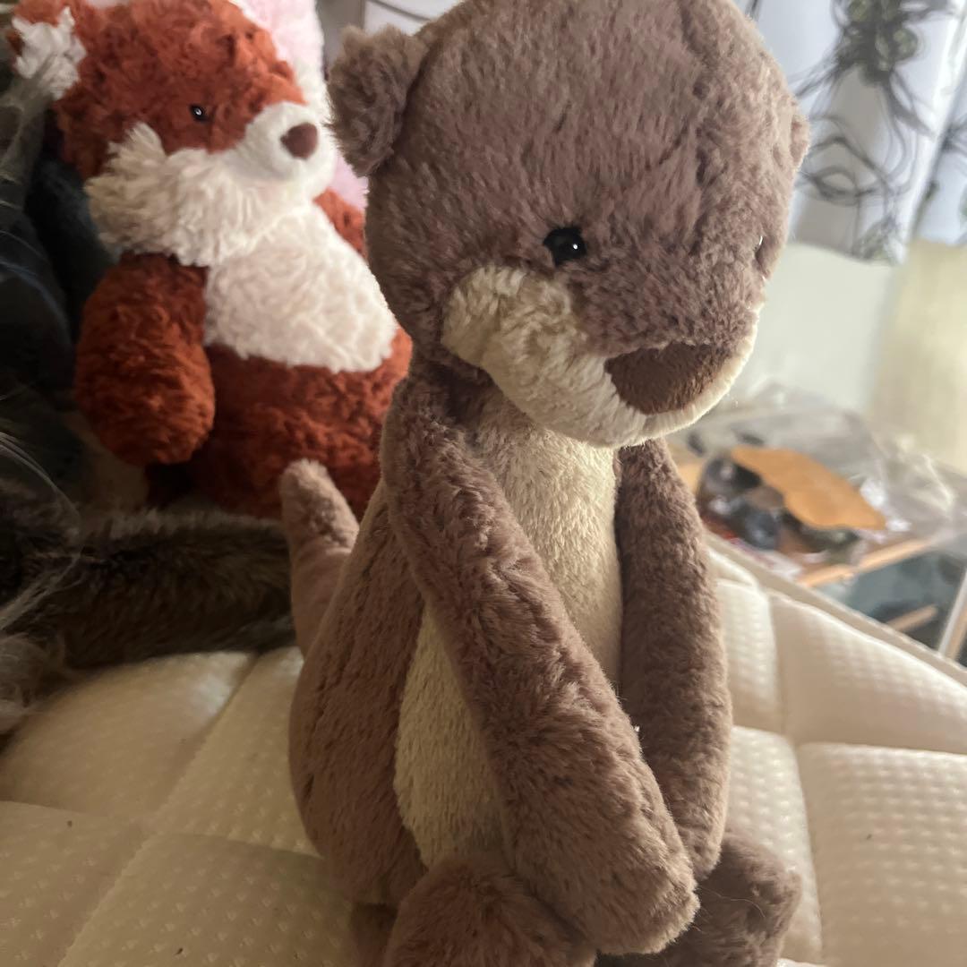 ぬいぐるみ  Bashful Otter