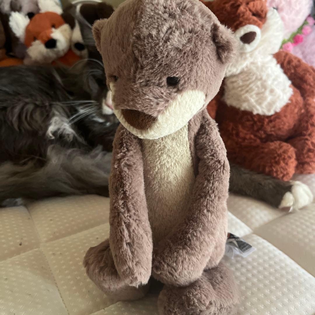 ぬいぐるみ  Bashful Otter