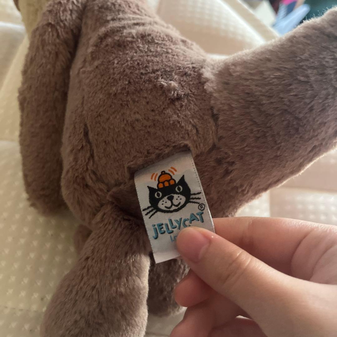 ぬいぐるみ  Bashful Otter