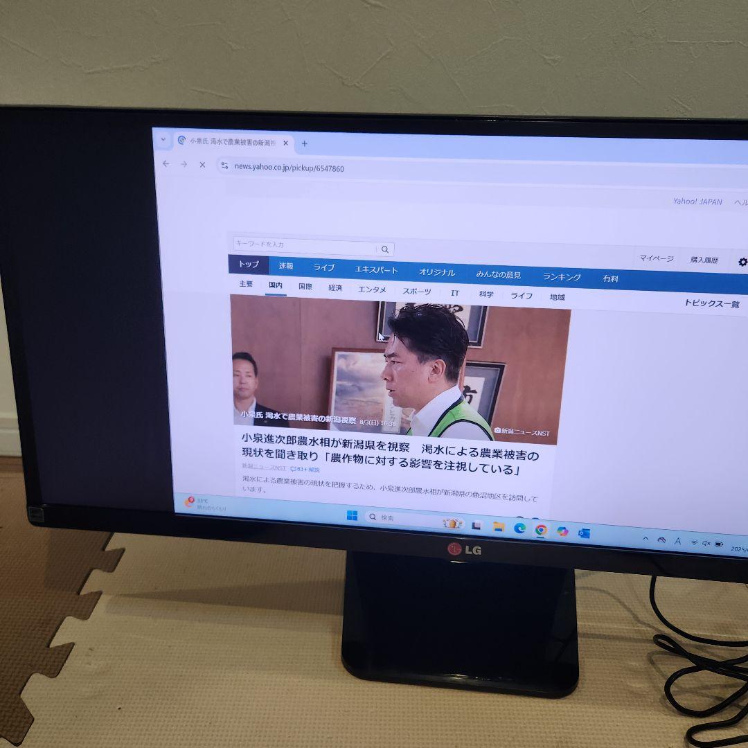 LG ウルトラワイドモニター29インチ LG 29UM65-P