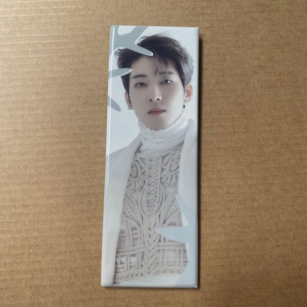 SEVENTEEN ウォヌ あいのちから 缶バッジ セブチ