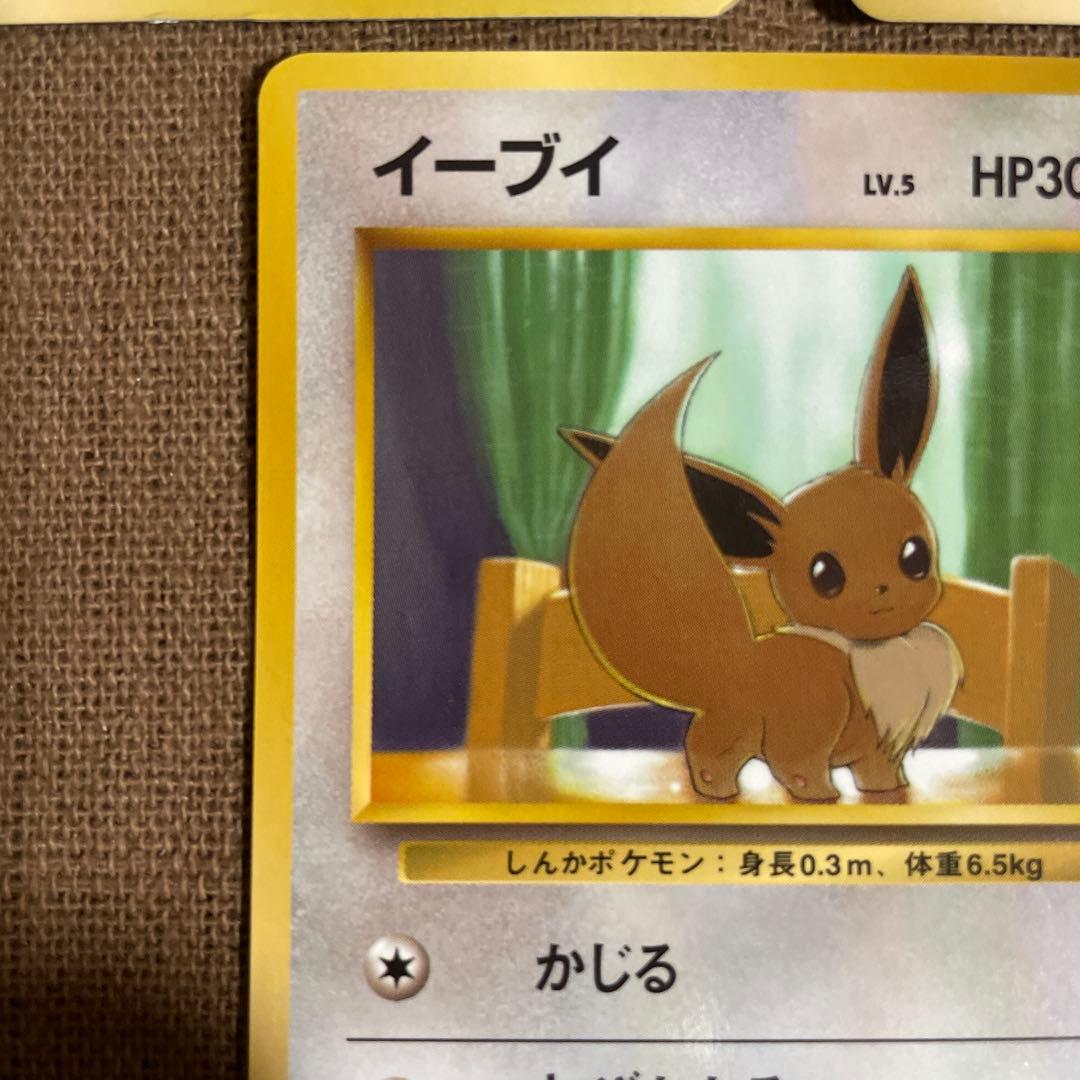 ポケモン カード 旧裏 拡張シート　イーブイ　イワーク　ライチュウ　ドガース　他