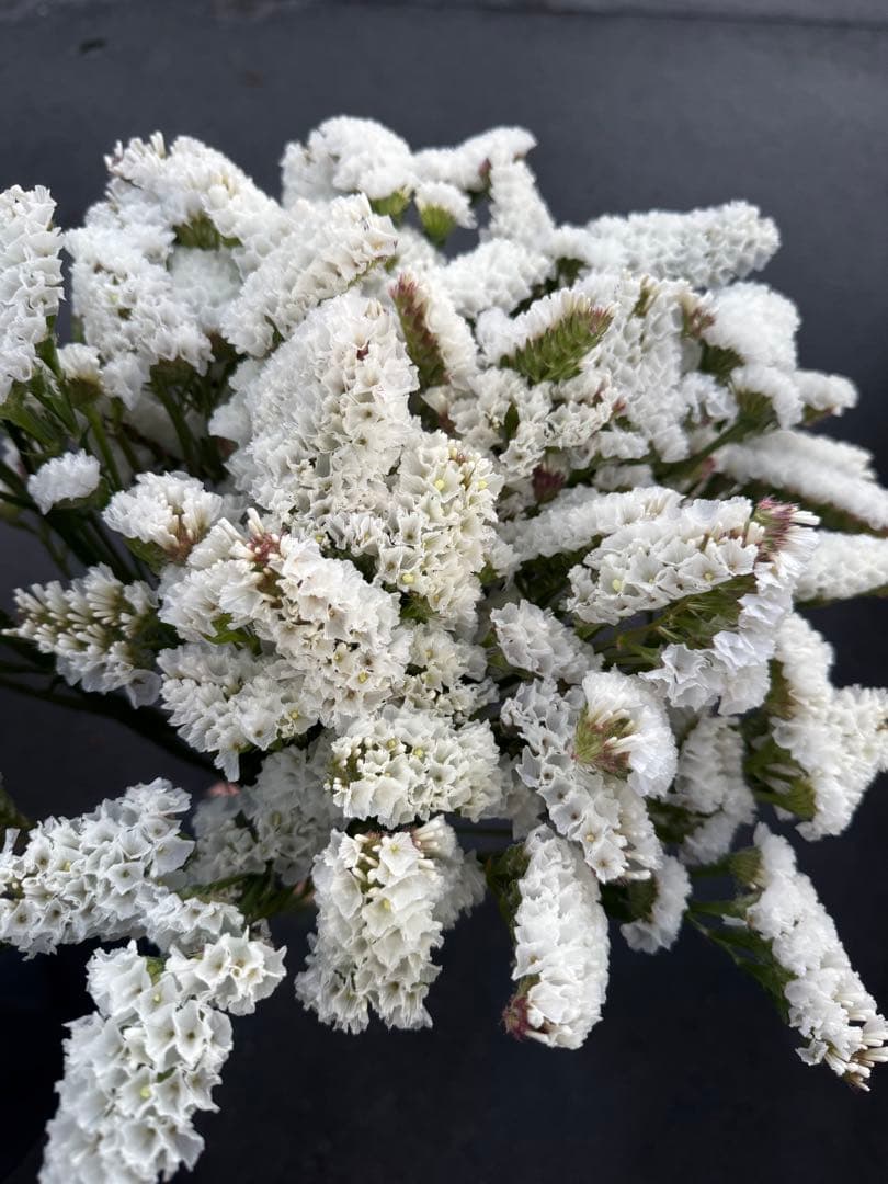 tora*様 リクエスト 2点 まとめ商品