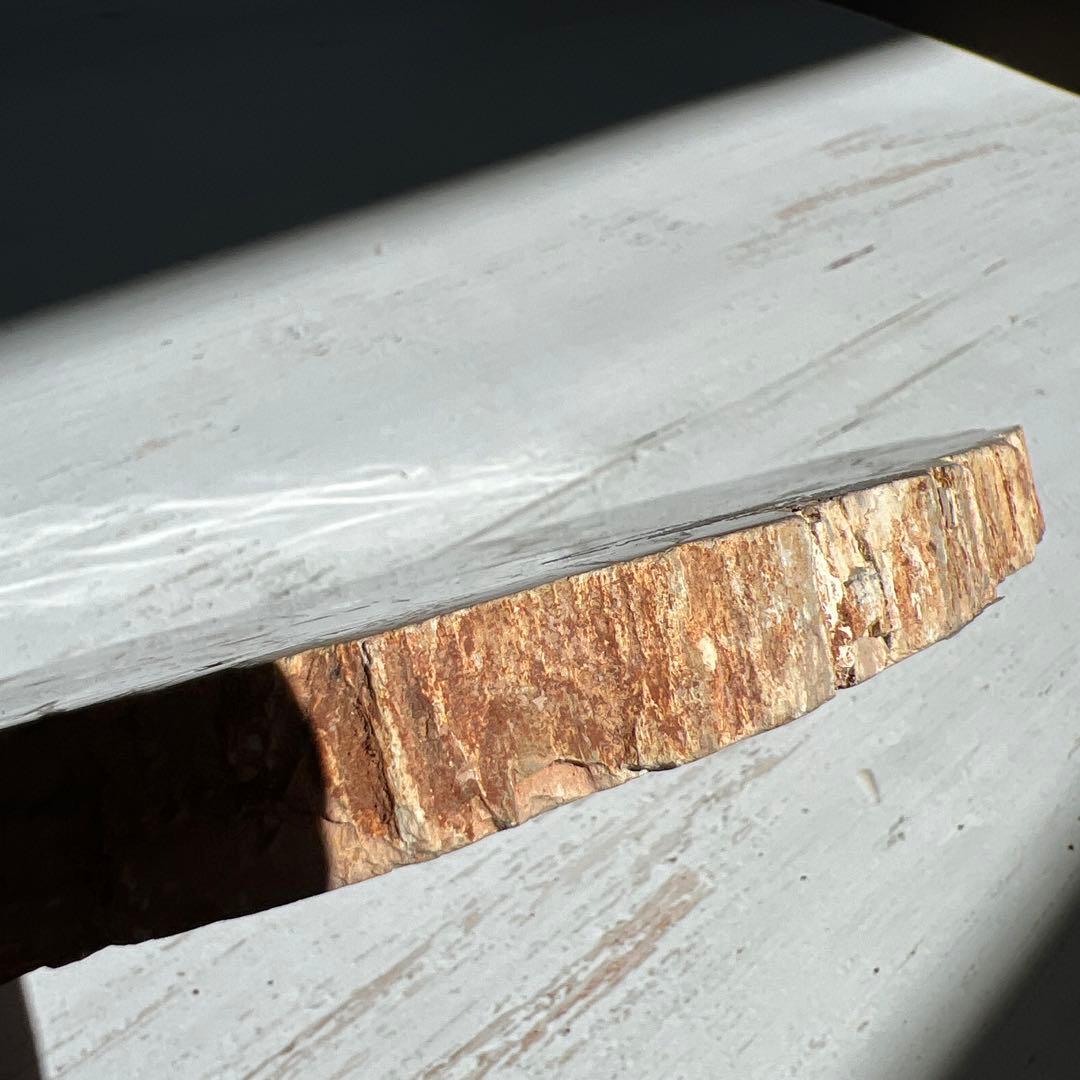 天然石　ペトリ　プレート　587グラム