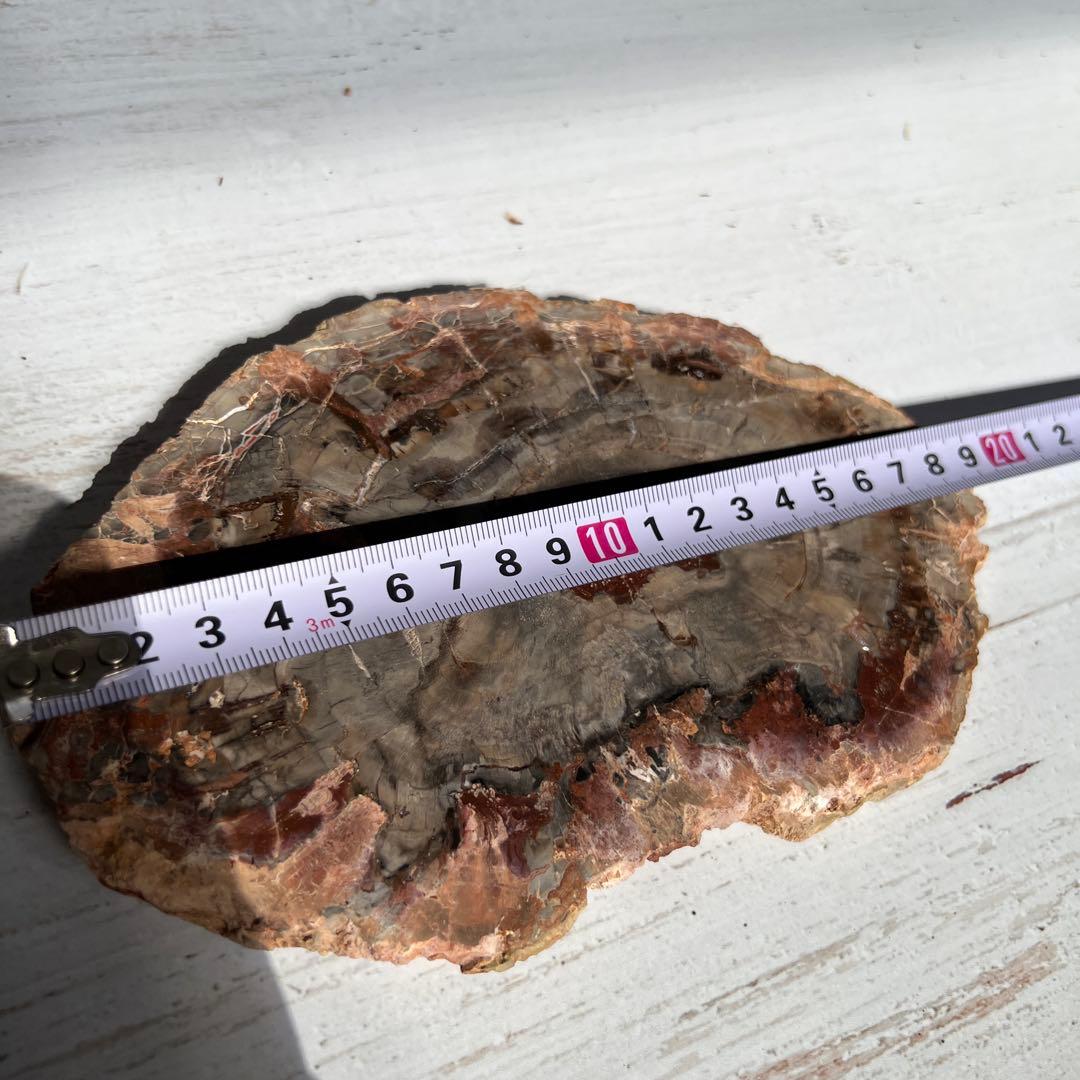 天然石　ペトリ　プレート　587グラム