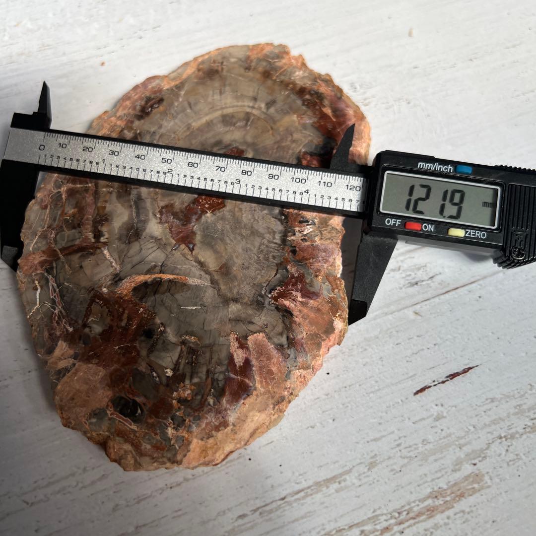 天然石　ペトリ　プレート　587グラム