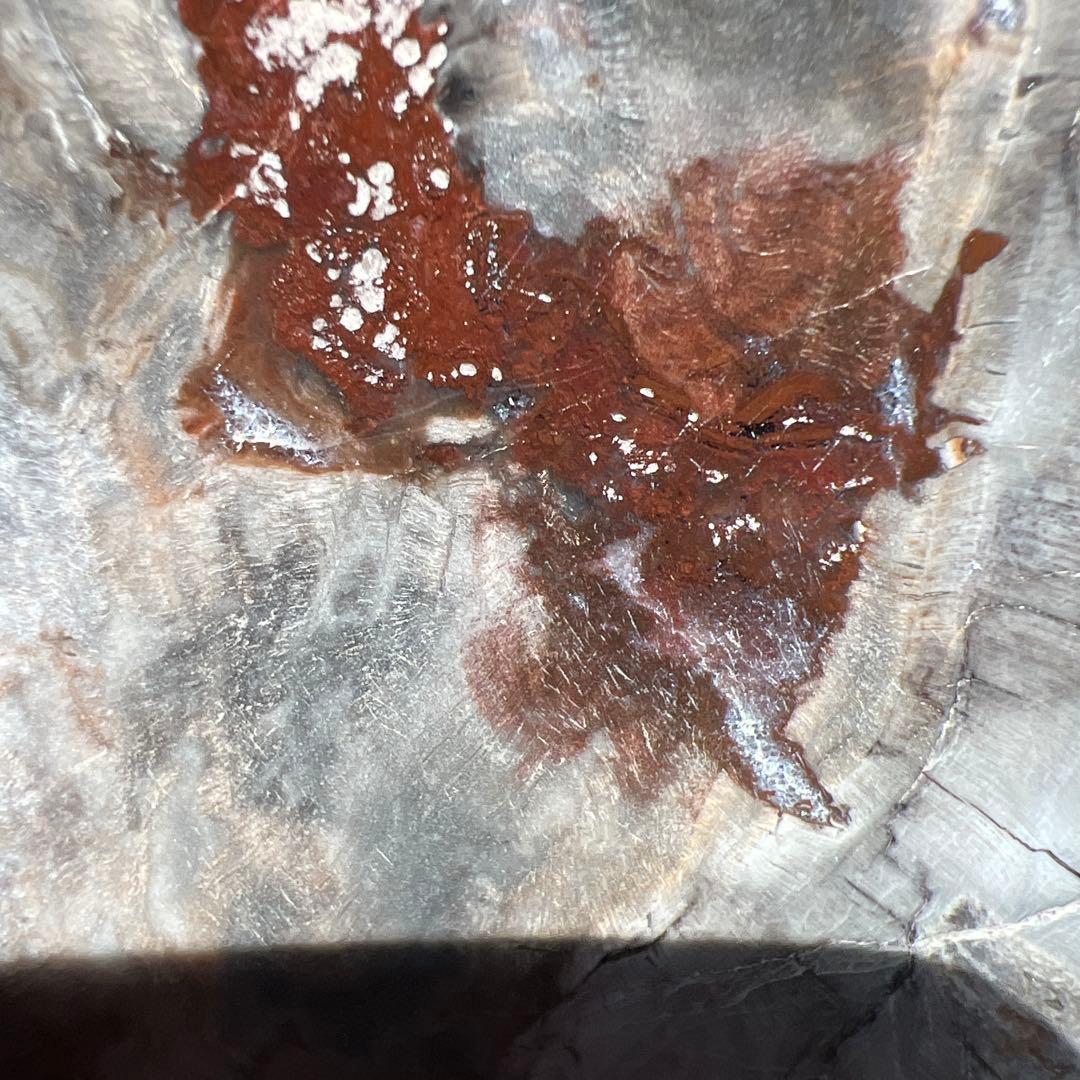 天然石　ペトリ　プレート　587グラム