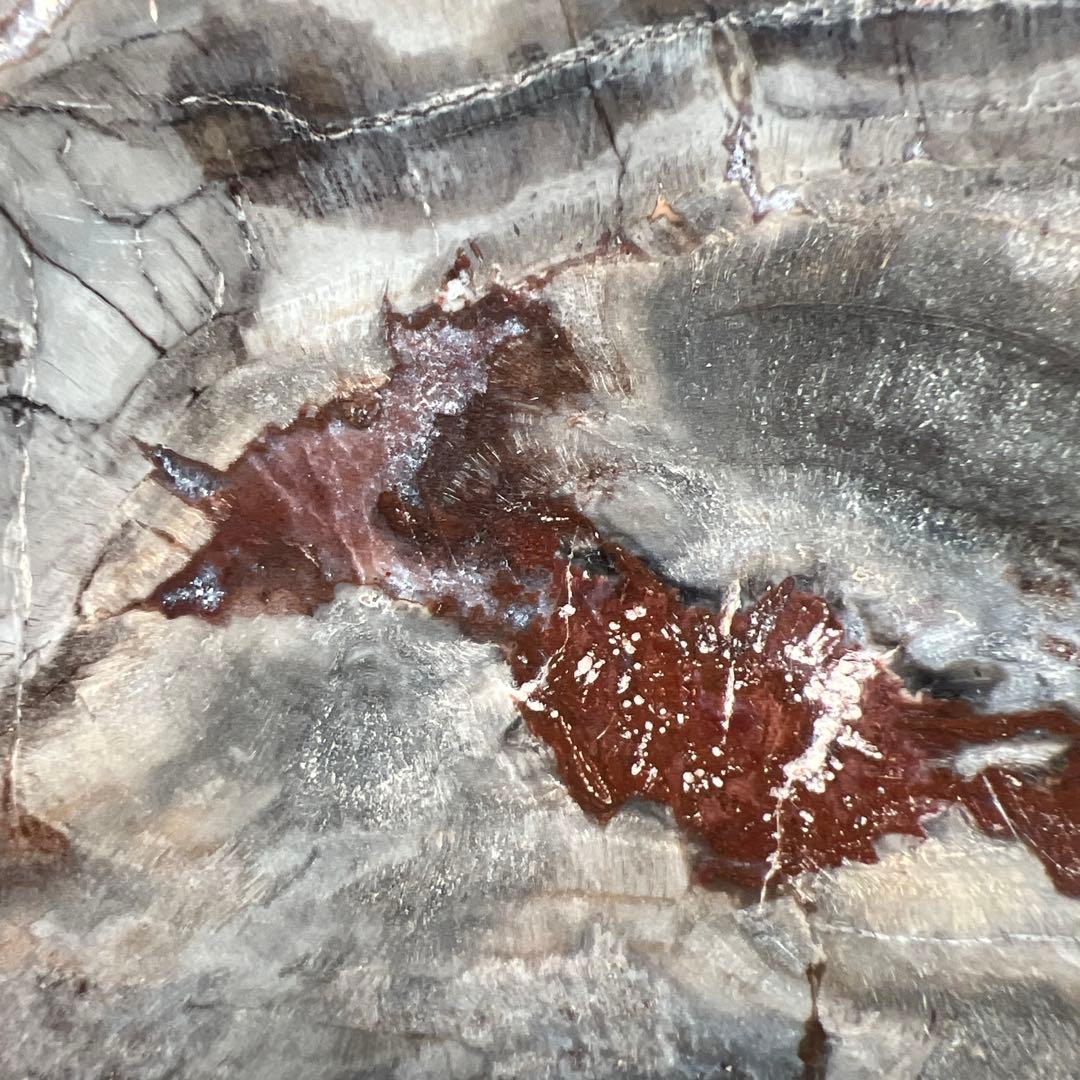 天然石　ペトリ　プレート　587グラム