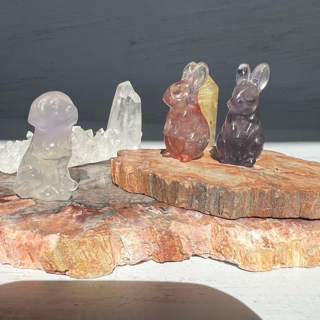 天然石　ペトリ　プレート　587グラム