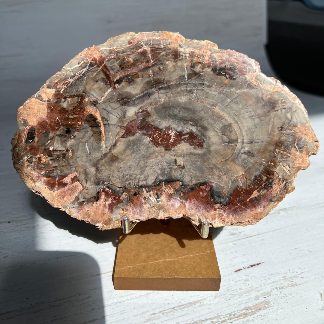 天然石　ペトリ　プレート　587グラム