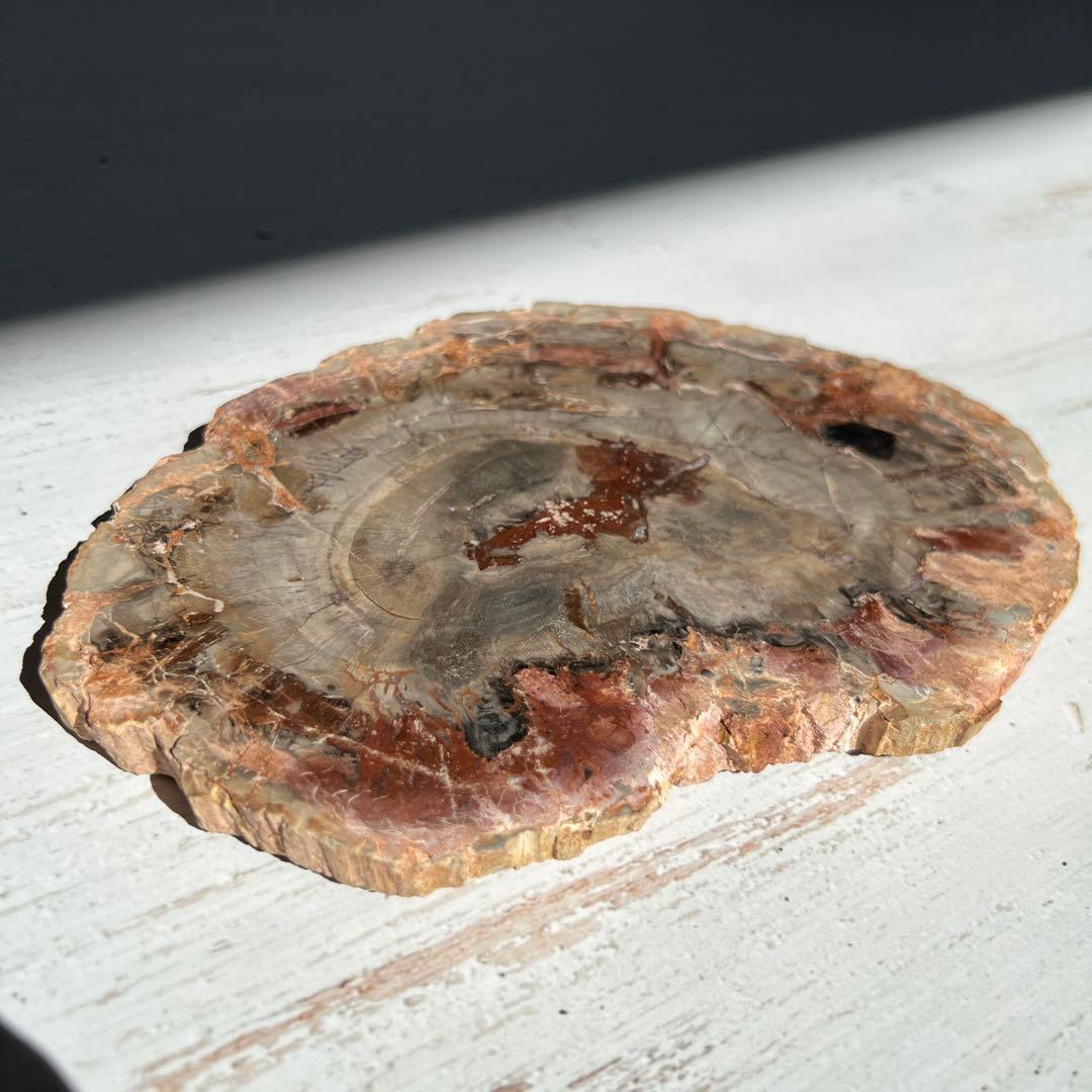 天然石　ペトリ　プレート　587グラム