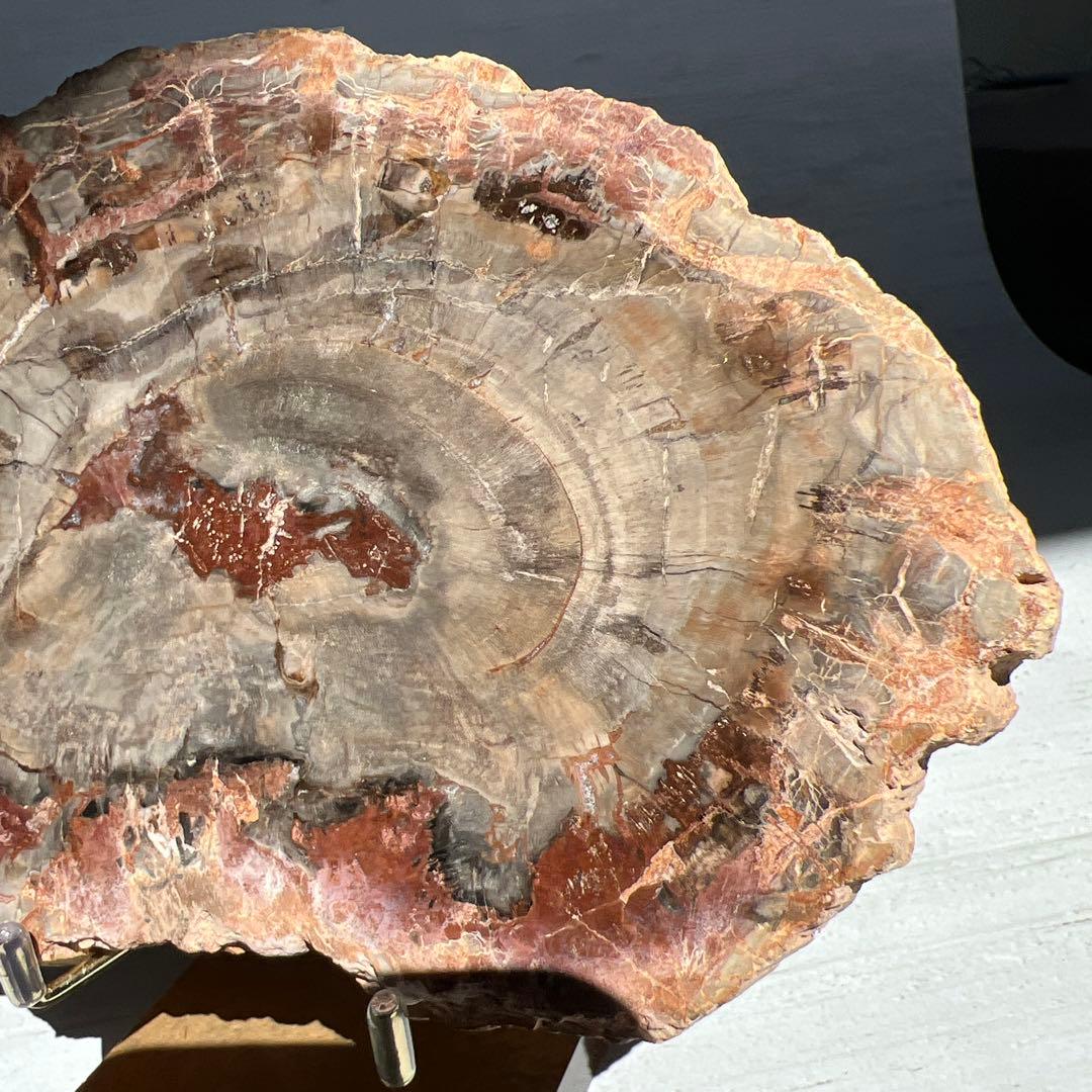 天然石　ペトリ　プレート　587グラム