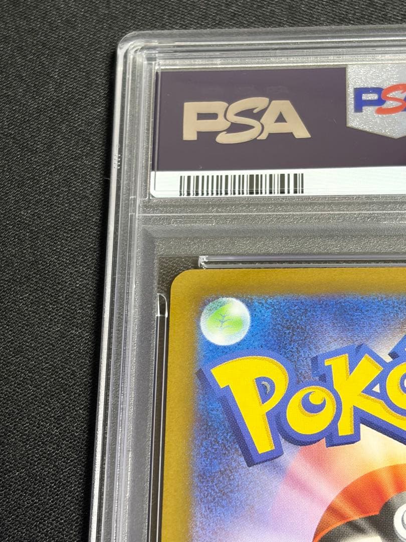 メイのはげまし　sar psa10