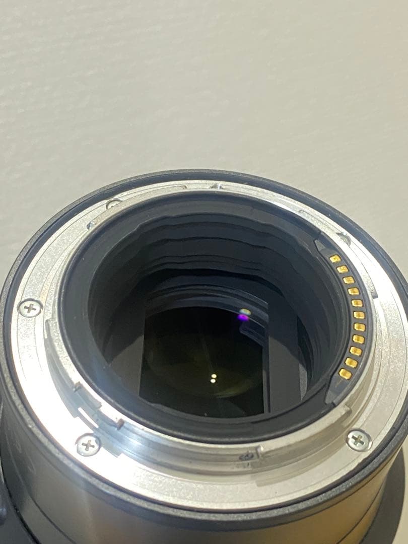 NIKKOR Z100-400/4.5-5.6 S ズームレンズ