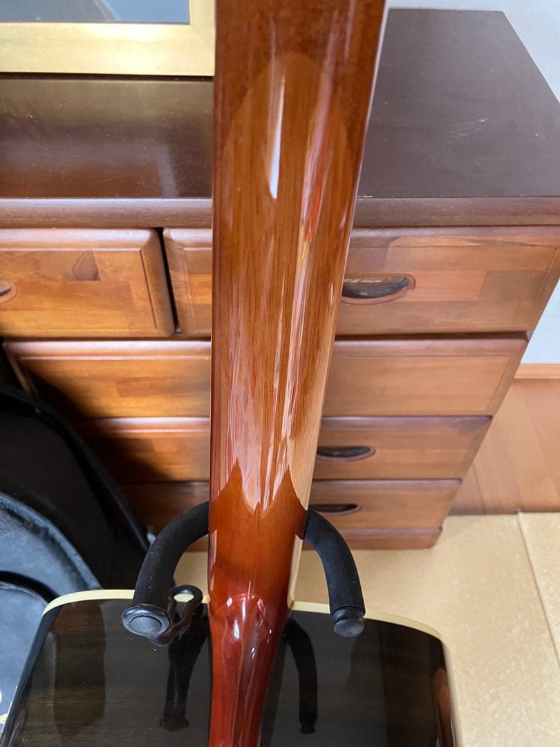 Greg Bennett グレッグ・ベネット　D-8