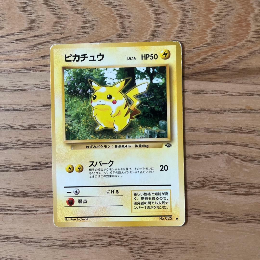 なみのりピカチュウ、空を飛ぶピカチュウ他