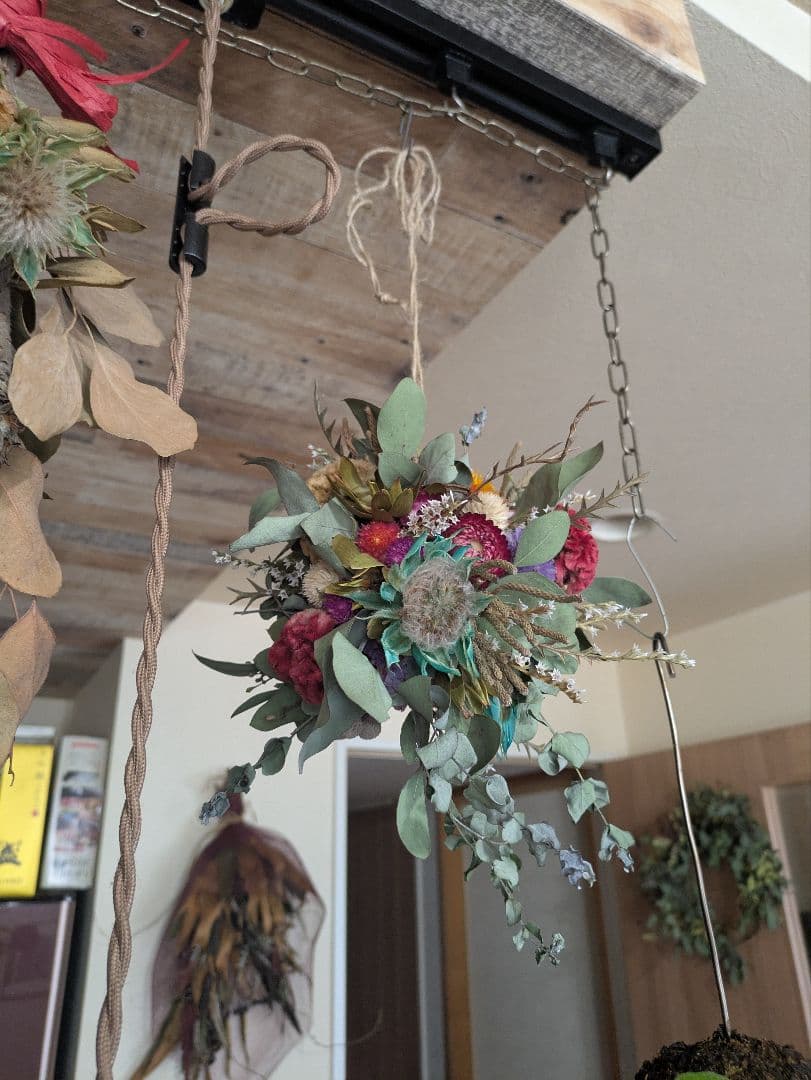 ドライフラワー★ゆらゆらフライングボール★セルリア　ケイトウ　1点物　インテリア