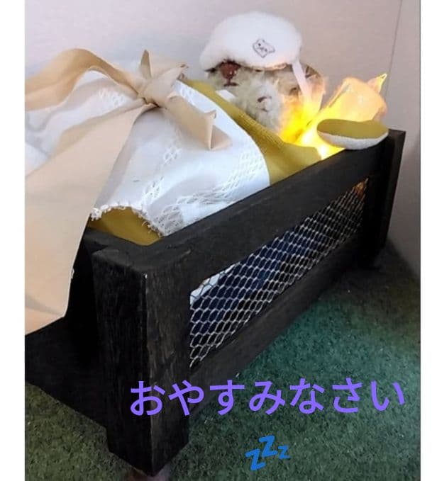 ＊*『くまさんとオヤスミベット』＊*